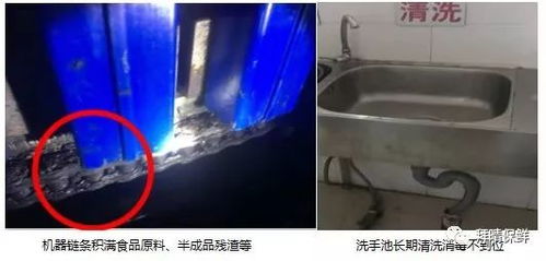 食品厂开工消毒防范方案与消毒服务实施指南