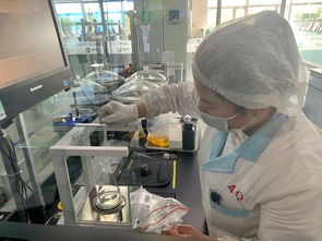蒙牛工厂与京东冷链分拣中心探访纪实 冰淇淋产业全链路服务升级与消毒保障